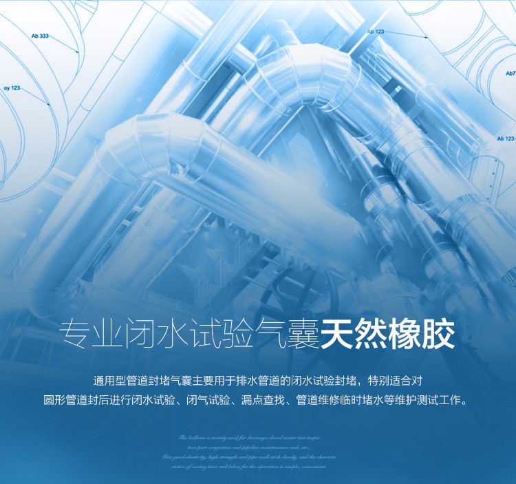 1459168368337756.jpg 水袋氣囊