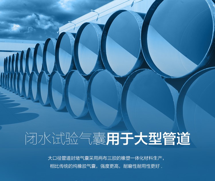 1459169478242527.jpg 水袋氣囊