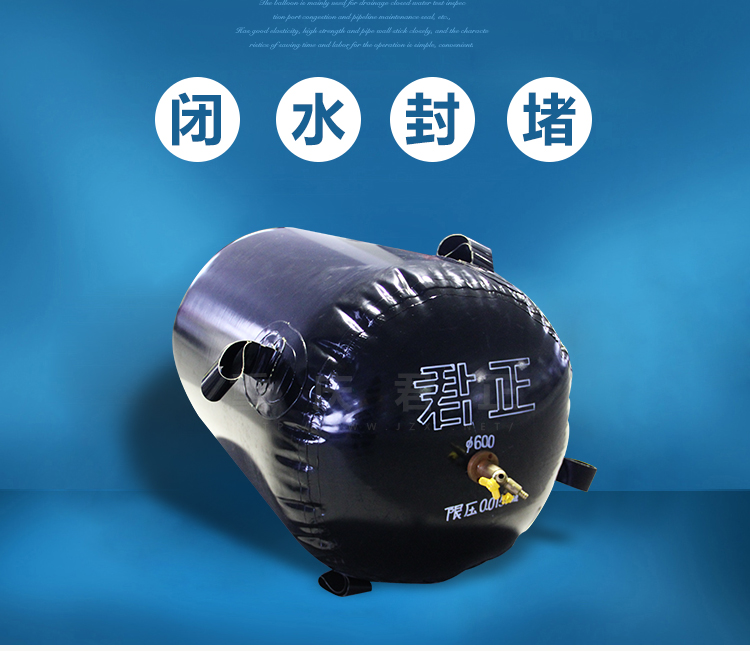 1459169482374204.jpg 水袋氣囊